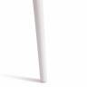 Стул Cat Chair (mod. 028) пластик, 53 x 59 x 82,5 см, белый (White C0057) (Комплект из 2 шт.) белый (White C0057) пластик