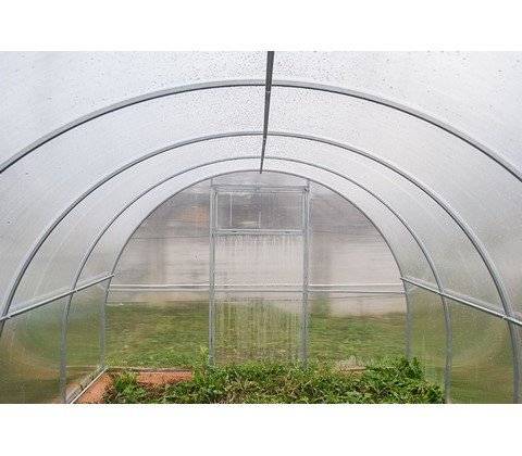 Теплица Агросфера-Престиж 8 м, без СПК